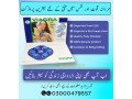 viagra-100mg-film-coated-tablets-in-sheikhupura-03317479557-small-0